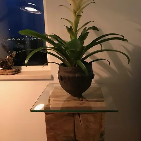 Apartment Tavira Apartment *