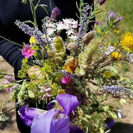 Apartment Tavira Apartment Tavira