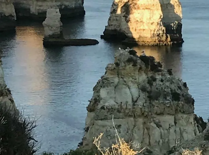 Tavira Apartment 아파트