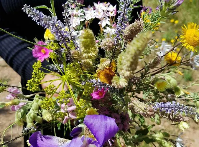 아파트 Tavira Apartment 타비라